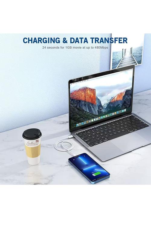 Amazon Iphone Fast Charger (Apple MFI Certified) 2pack X003EMLK4R