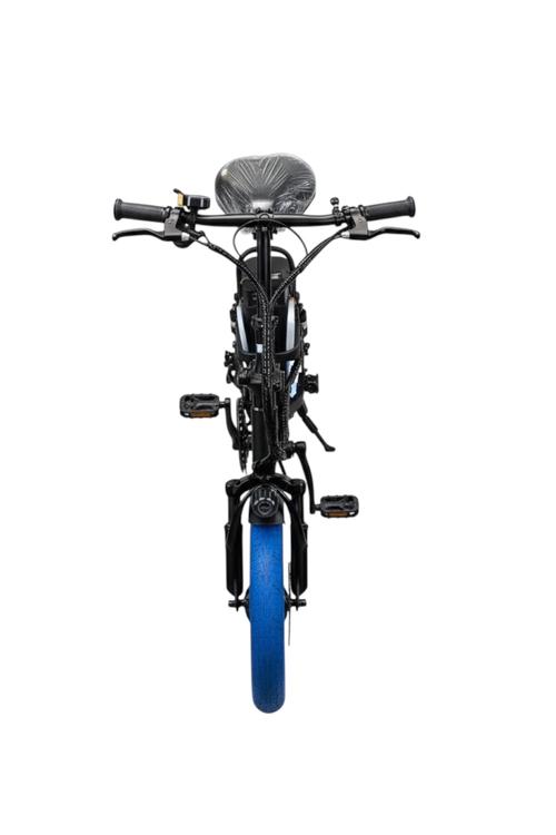DYU Foldable City E-Bike with Disc Brakes and Wide Tires A5