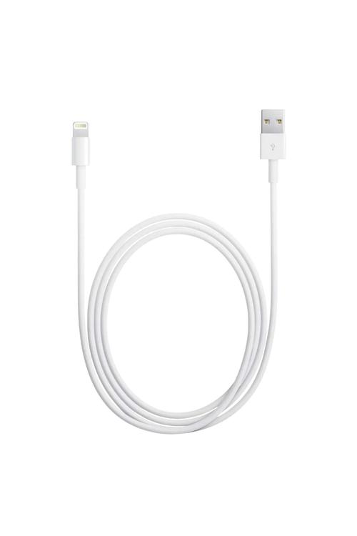 Foxcon Lightning Cable 3FT MW817
