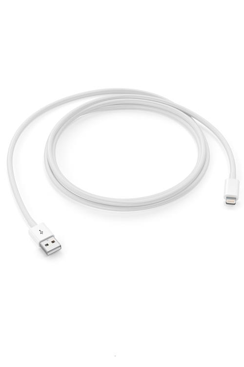 High Quality Lightning Cable 3FT In Box 1M MW839