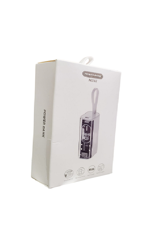 Mini Teddy Power Bank MP13