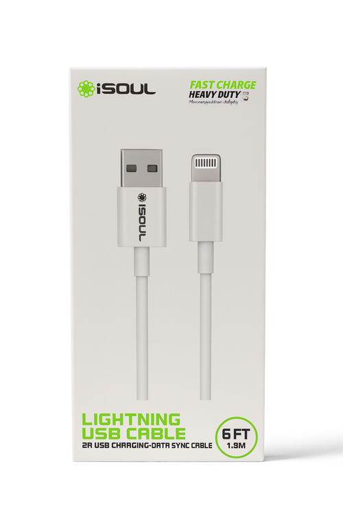 iSoul 6FT Lightning to USB Cable C502